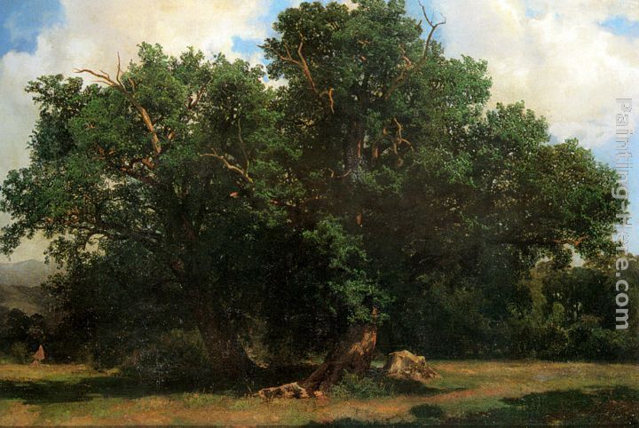Alexandre Calame Oak Trees